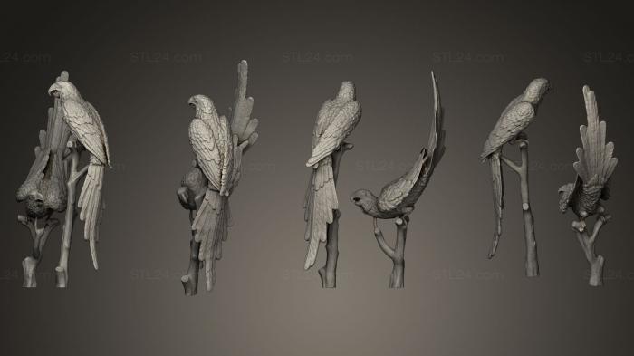 Статуэтки птицы (Статуя попугая, STKB_0116) 3D модель для ЧПУ станка